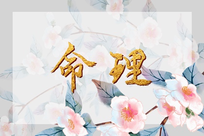 日历表 日历2026全年农历表 农历日历2026年完整版